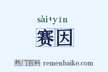 赛因是什么意思的图片